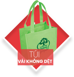 Túi Vải Không Dệt